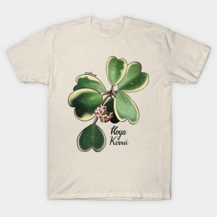 Hoya Kerrii in bloom T-Shirt